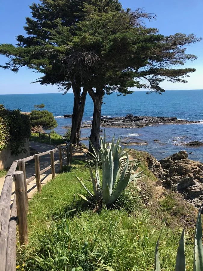 Apartamento Con Vista Al Mar Llançà 0*,